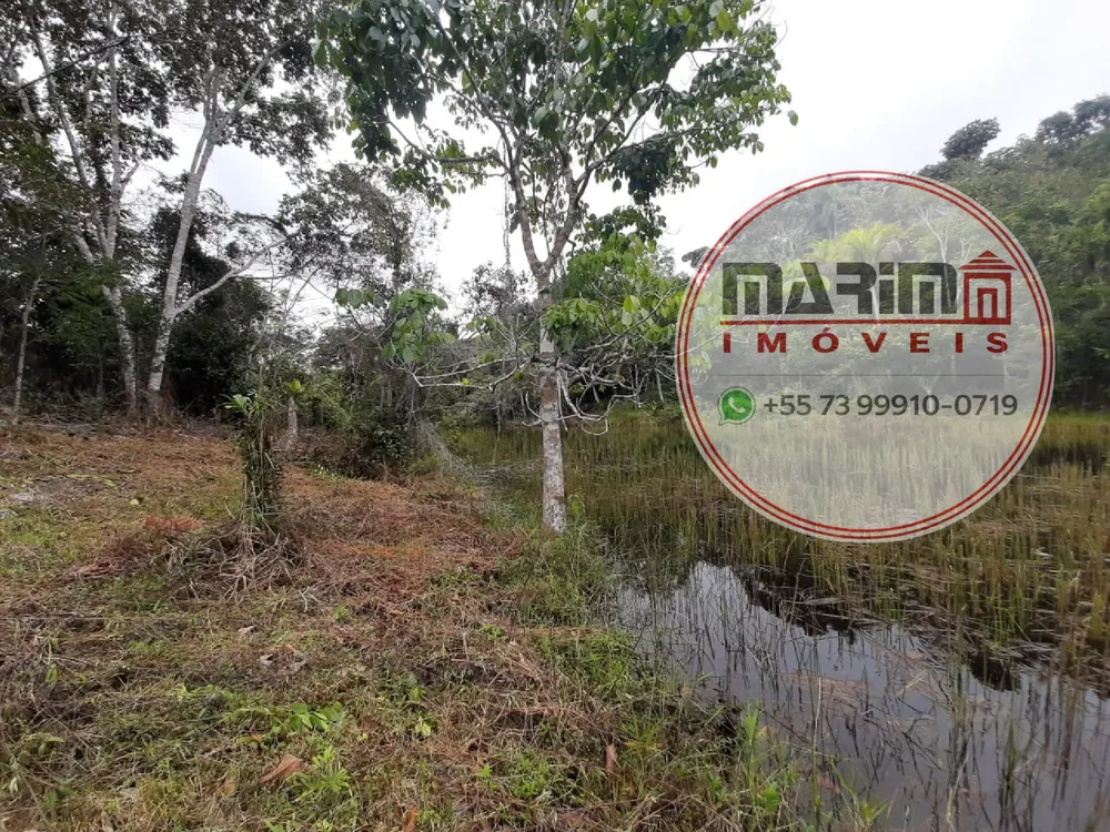 Terreno, 5 hectares - Foto 17