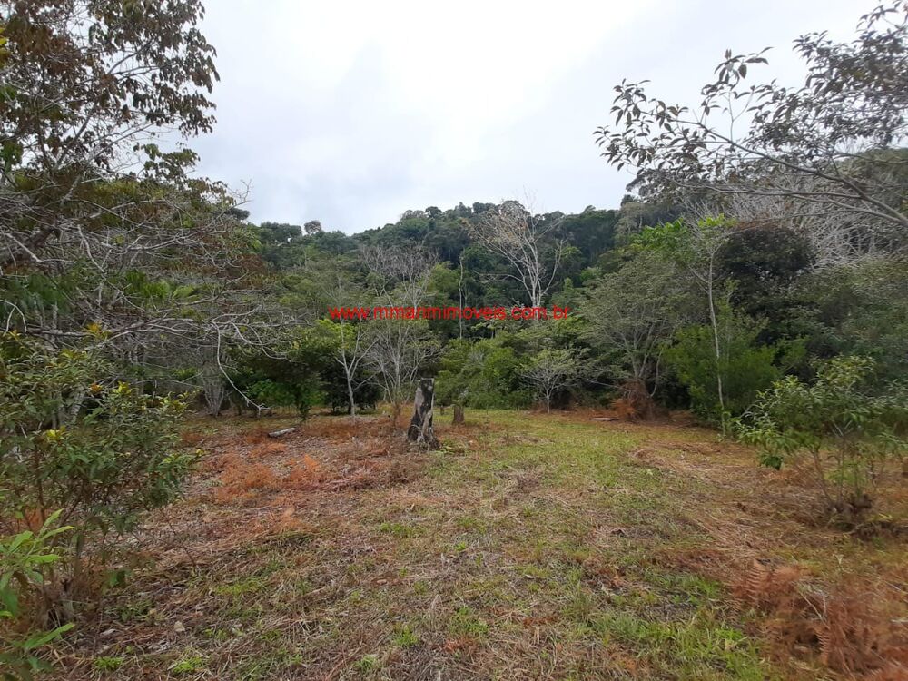 Terreno, 5 hectares - Foto 6