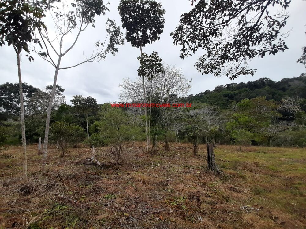 Terreno, 5 hectares - Foto 7