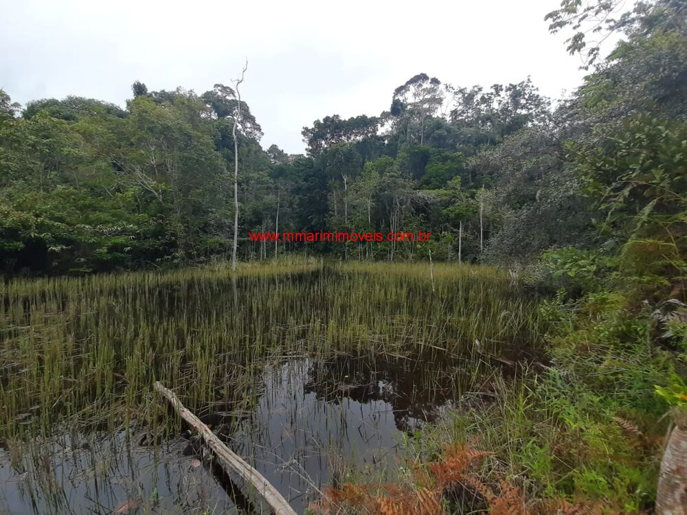 Terreno à venda, 52000m² - Foto 2