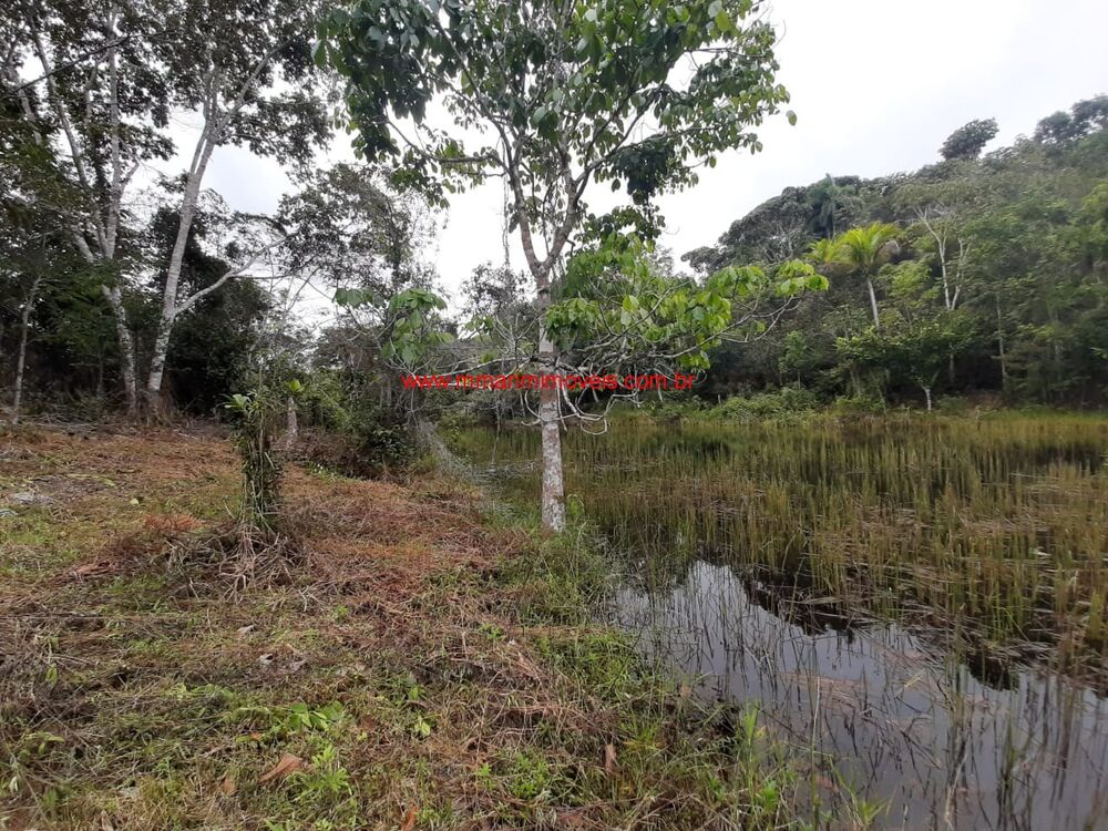 Terreno, 5 hectares - Foto 9