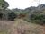 Terreno, 5 hectares - Foto 4