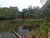 Terreno, 5 hectares - Foto 2