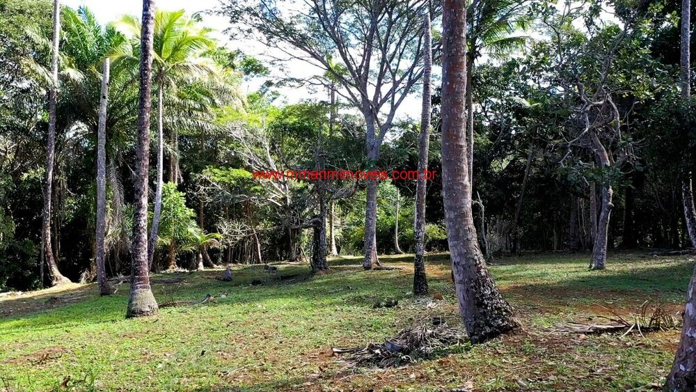 Terreno, 5206 m² - Foto 3