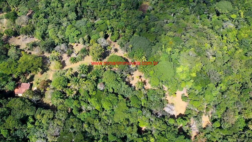 Terreno, 5206 m² - Foto 6