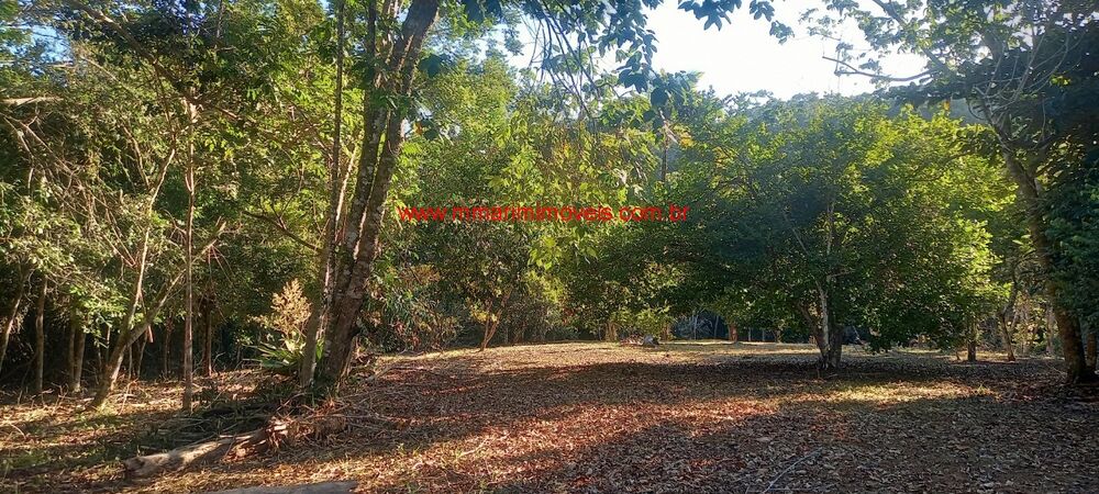 Terreno, 5206 m² - Foto 4