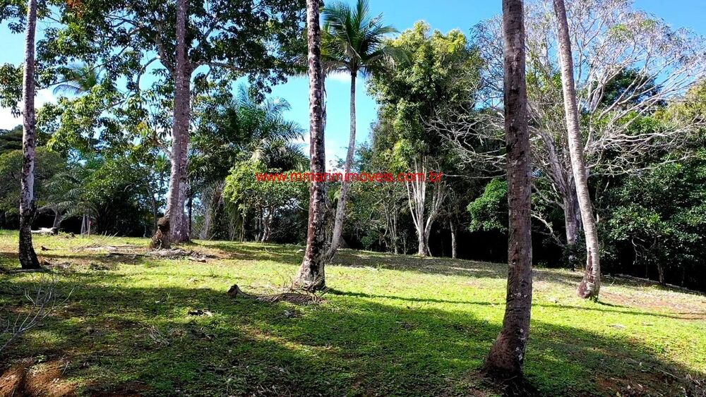 Terreno, 5206 m² - Foto 2