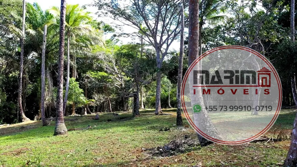 Terreno, 5206 m² - Foto 10