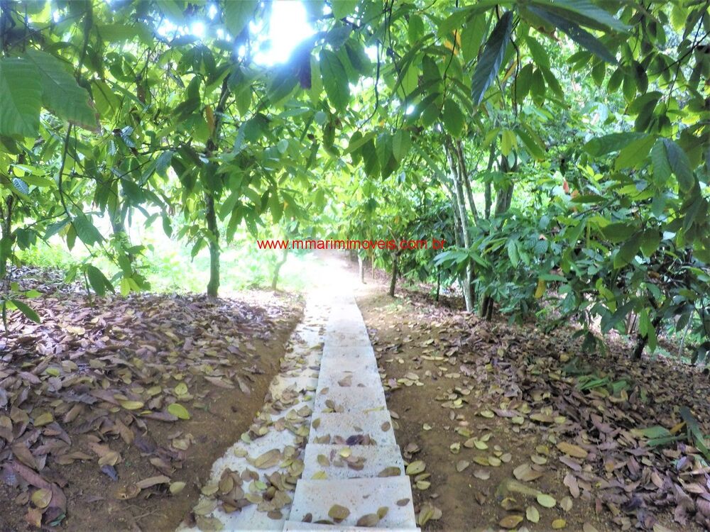 Terreno à venda com 3 quartos, 3115m² - Foto 5