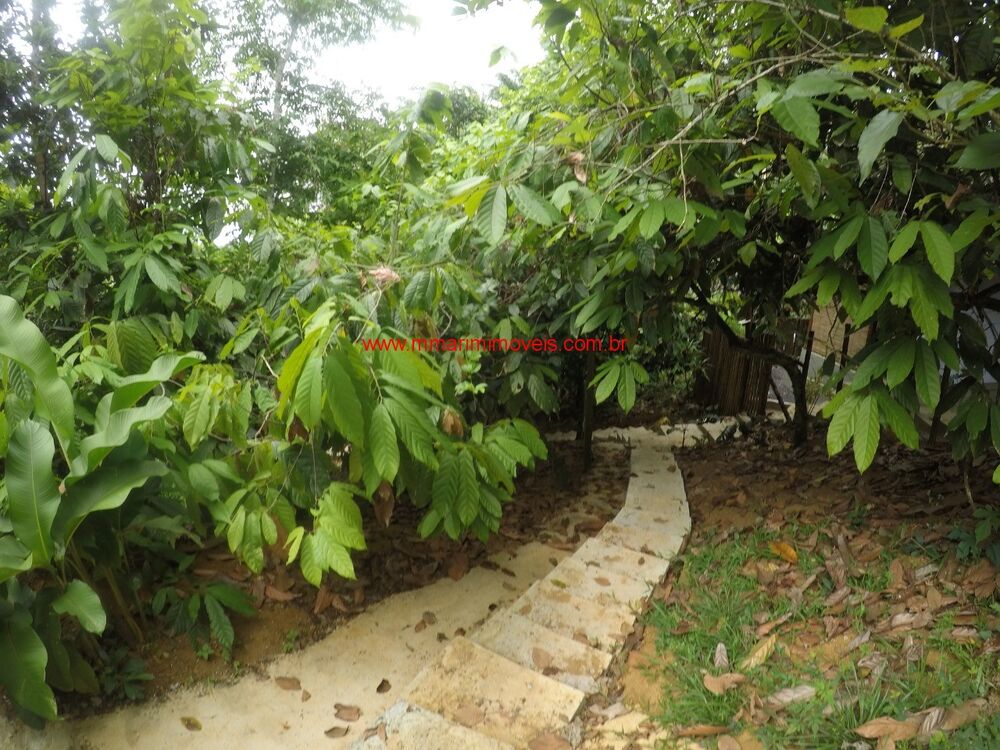 Terreno à venda com 3 quartos, 3115m² - Foto 4