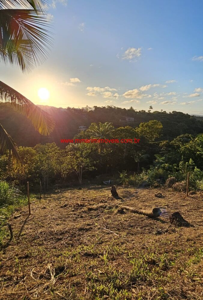 Terreno à venda, 250m² - Foto 3