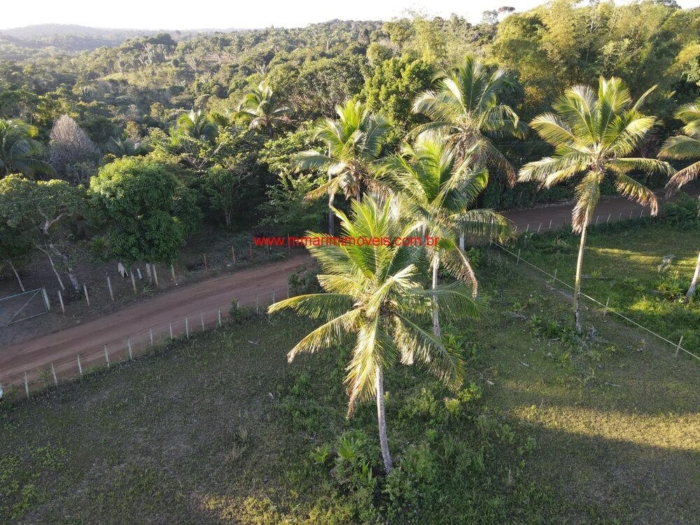 Terreno, 10 hectares - Foto 3