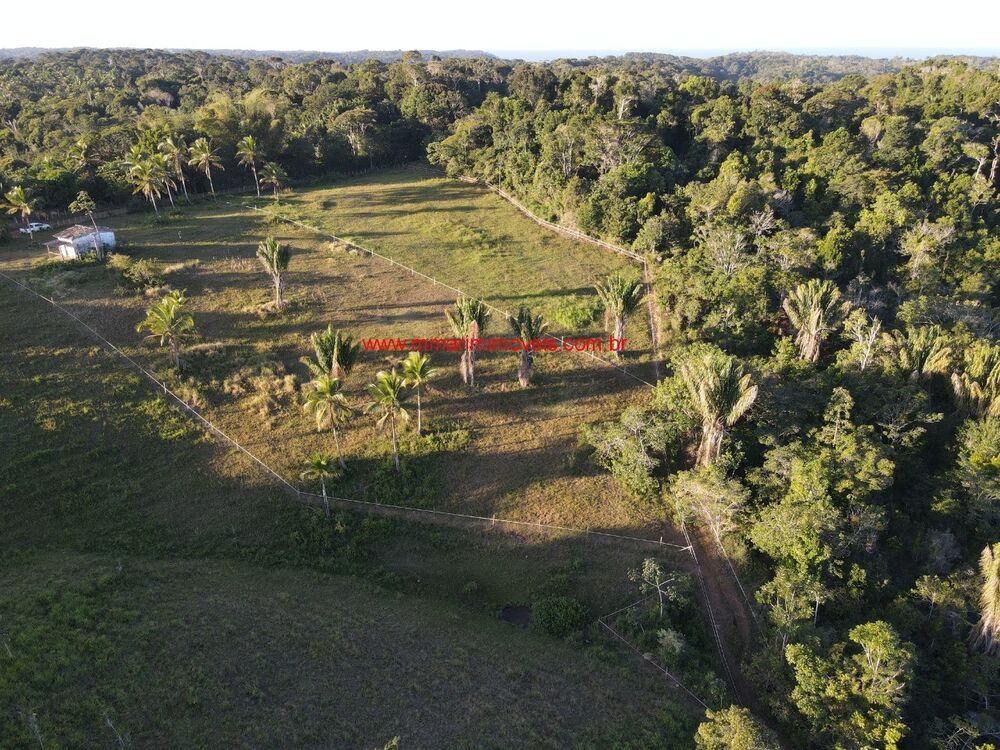 Terreno, 10 hectares - Foto 1