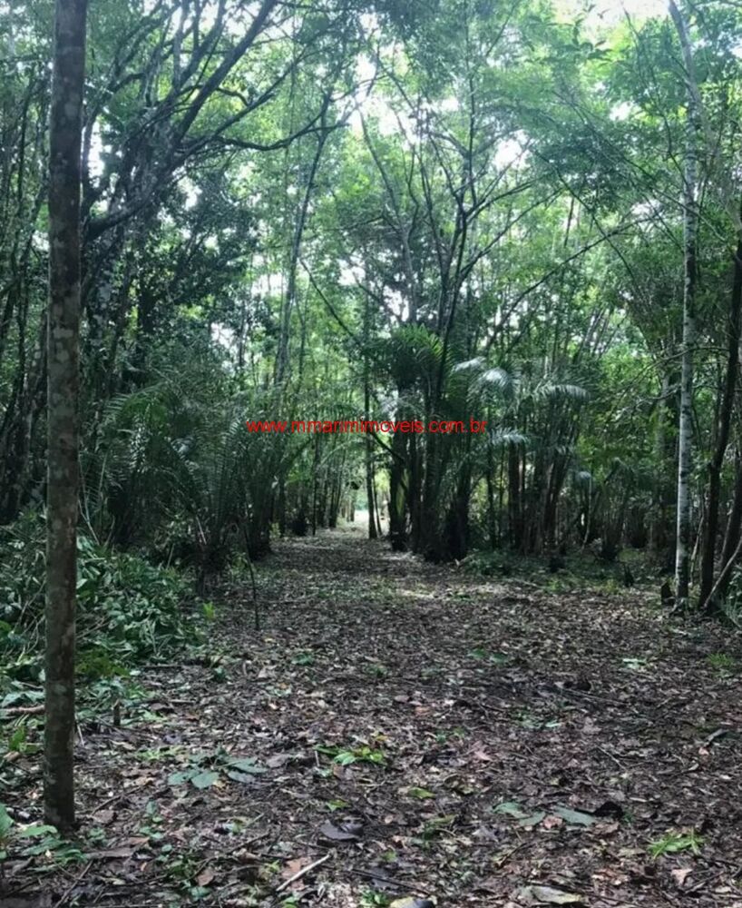 Terreno, 2 hectares - Foto 3