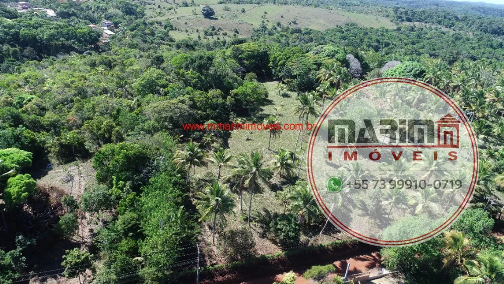 Terreno, 3 hectares - Foto 4