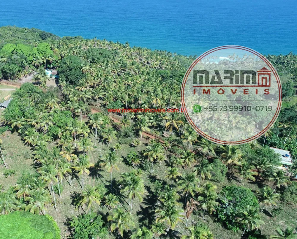 Terreno, 3 hectares - Foto 1