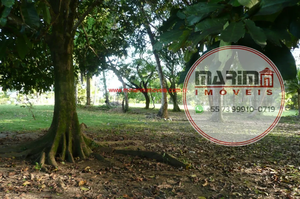 Terreno, 3 hectares - Foto 7