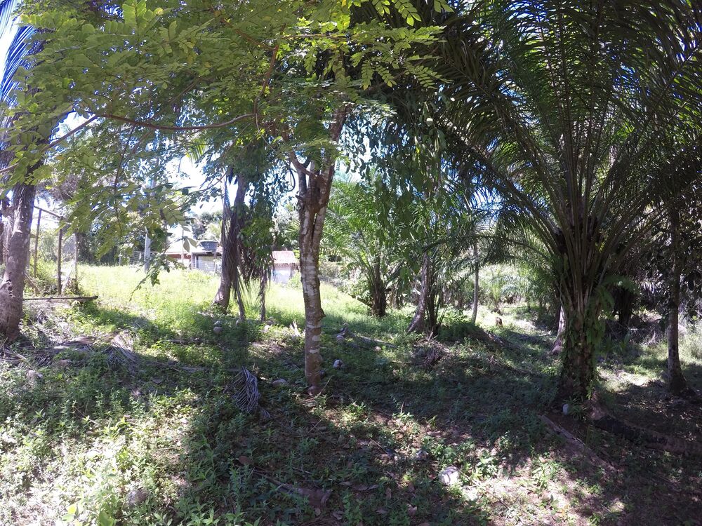 Terreno, 3508 m² - Foto 2