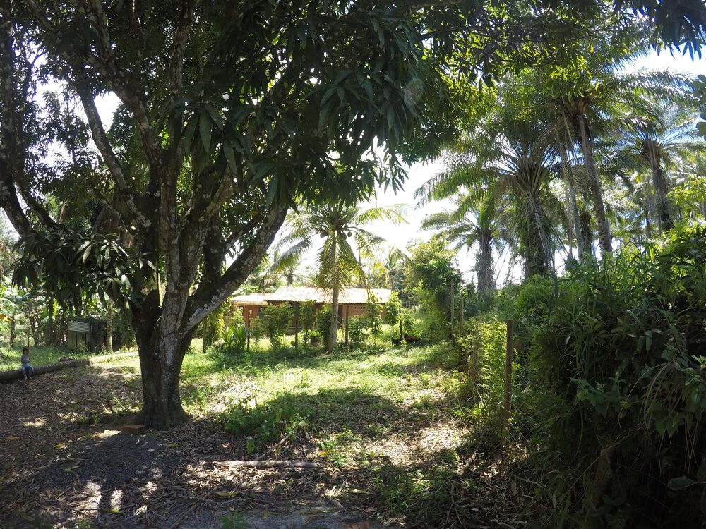 Terreno, 3508 m² - Foto 4