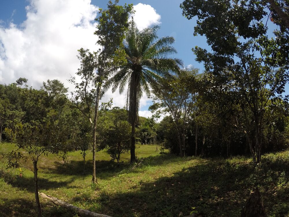 Terreno, 3508 m² - Foto 1