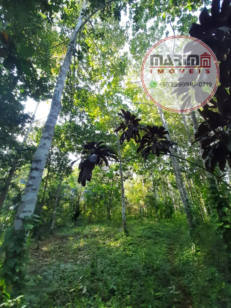 Fazenda, 12 hectares - Foto 26