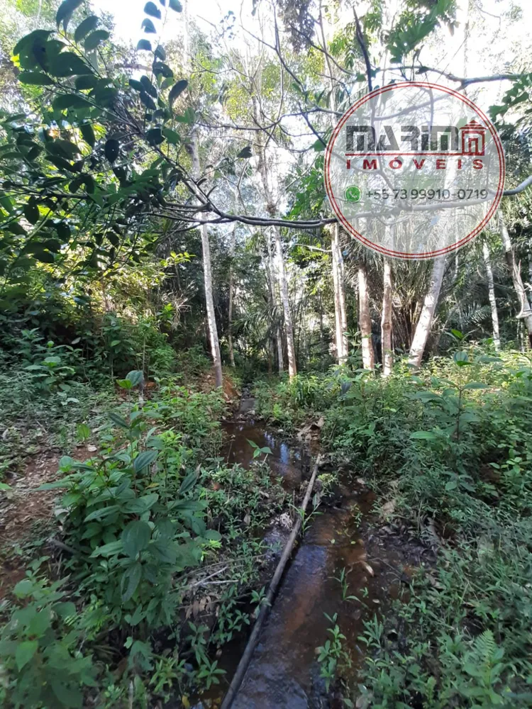 Fazenda, 12 hectares - Foto 27
