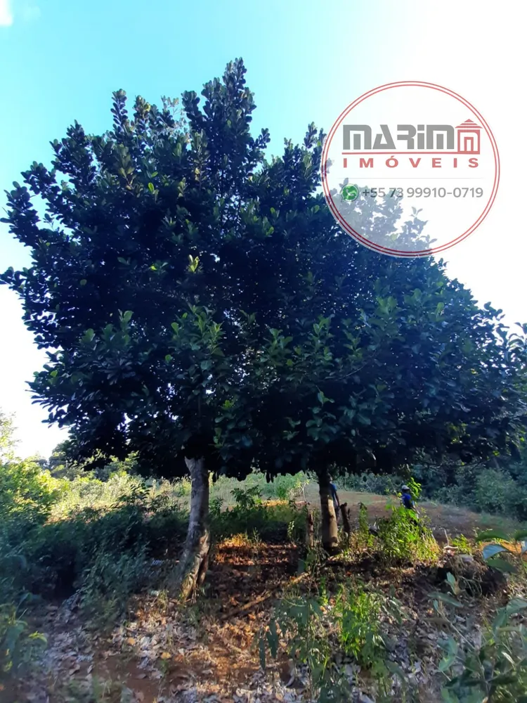 Fazenda, 12 hectares - Foto 23