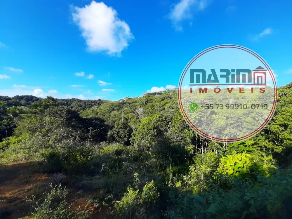 Fazenda, 12 hectares - Foto 14