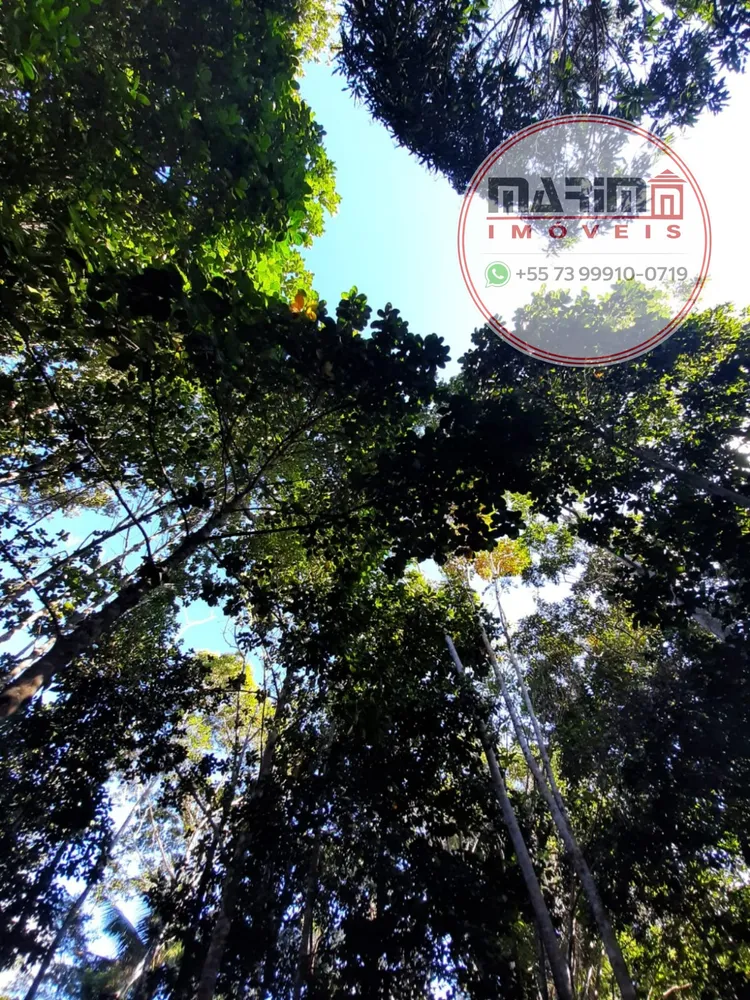 Fazenda, 12 hectares - Foto 28