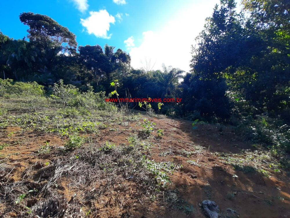 Fazenda à venda, 120000m² - Foto 10