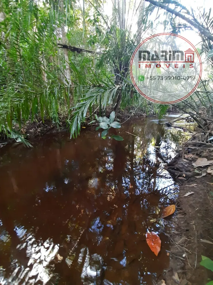 Fazenda, 12 hectares - Foto 21