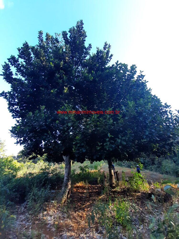Fazenda à venda, 120000m² - Foto 8