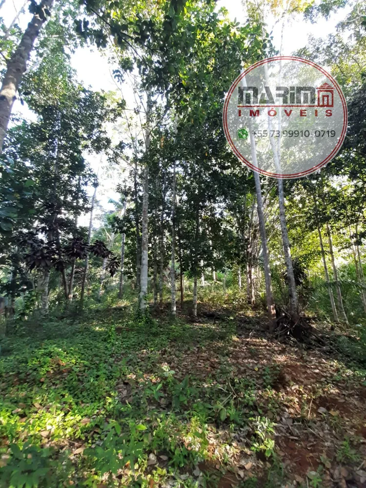Fazenda, 12 hectares - Foto 22