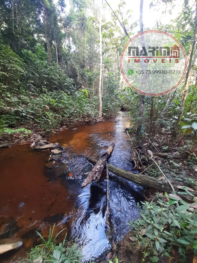 Fazenda, 12 hectares - Foto 19