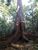 Fazenda-Sítio-Chácara, 12 hectares - Foto 16