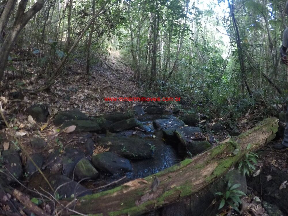 Haras e Área Rural Padrão à venda, 245000m² - Foto 1