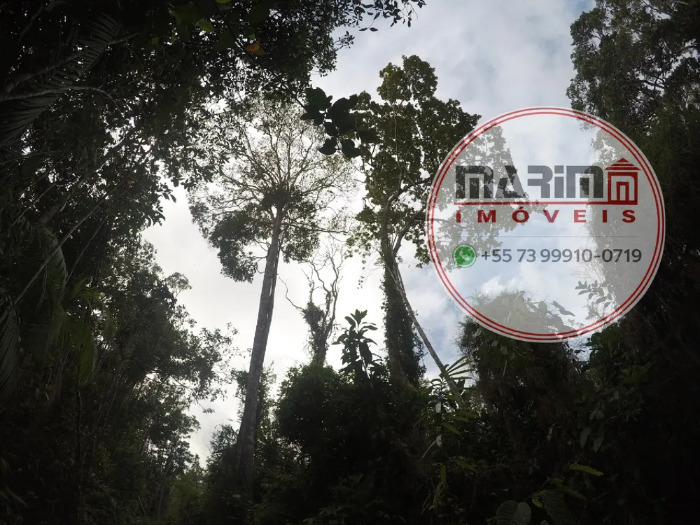 Fazenda, 25 hectares - Foto 12