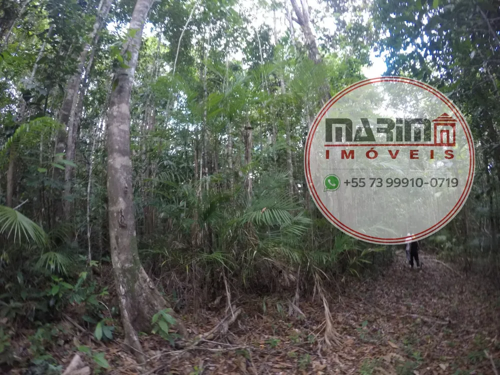 Fazenda, 25 hectares - Foto 10
