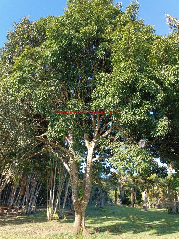 Sítio, 4 quartos - Foto 11