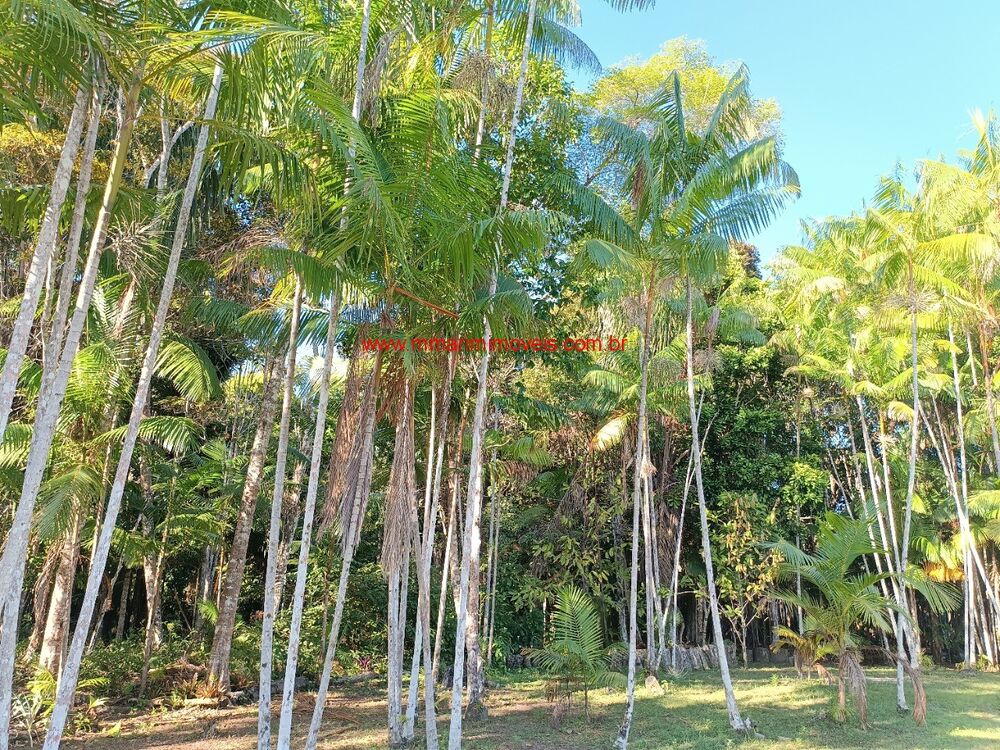 Sítio, 4 quartos - Foto 10