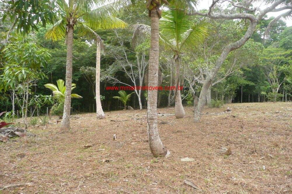 Terreno, 1445 m² - Foto 7