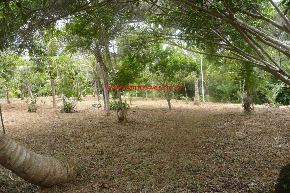 Terreno, 1445 m² - Foto 4