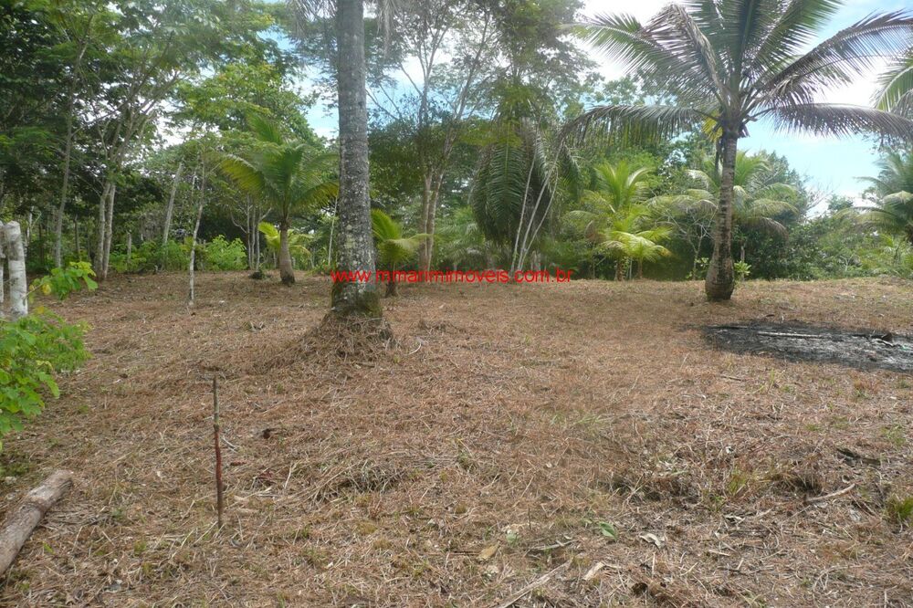 Terreno, 1445 m² - Foto 5