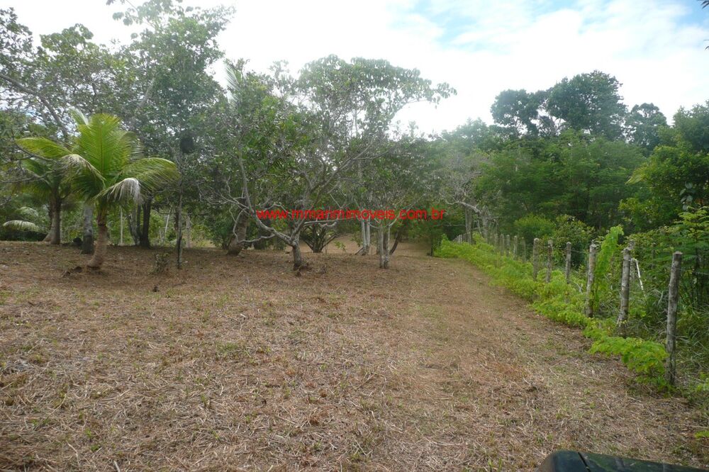 Terreno, 1445 m² - Foto 3