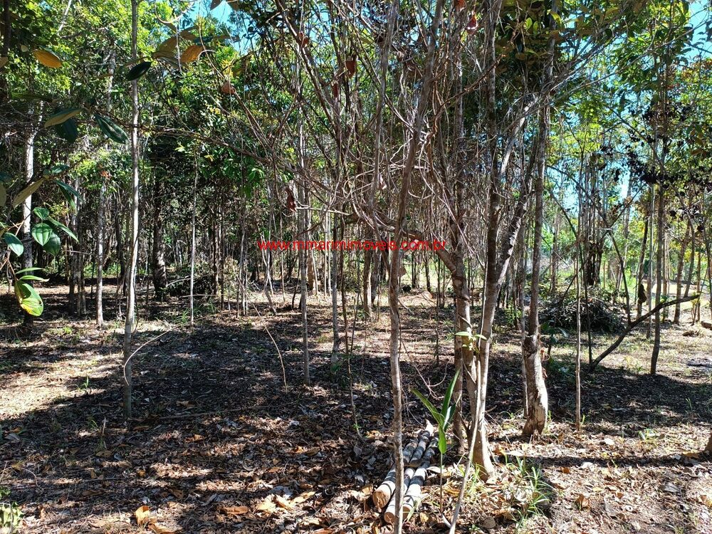 Terreno, 1600 m² - Foto 2