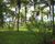 Terreno, 1 hectares - Foto 3