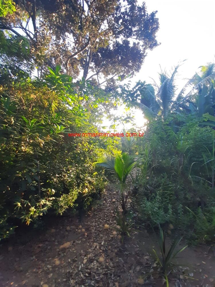 Casa à venda com 3 quartos, 3413m² - Foto 10