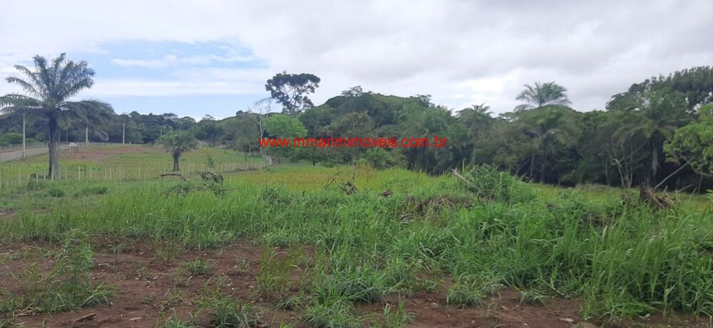 Terreno, 4 hectares - Foto 1