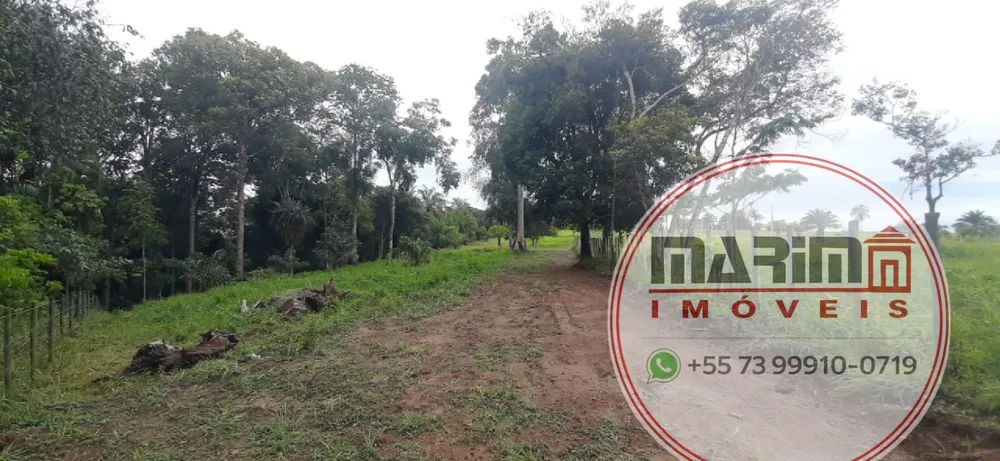Terreno, 4 hectares - Foto 9