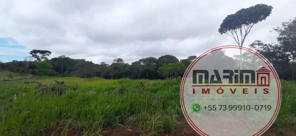 Terreno, 4 hectares - Foto 11